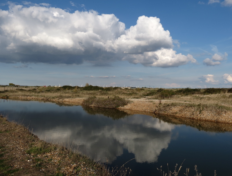 School kids become citizen scientists