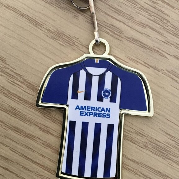 Brighton and Hove Albion keyring