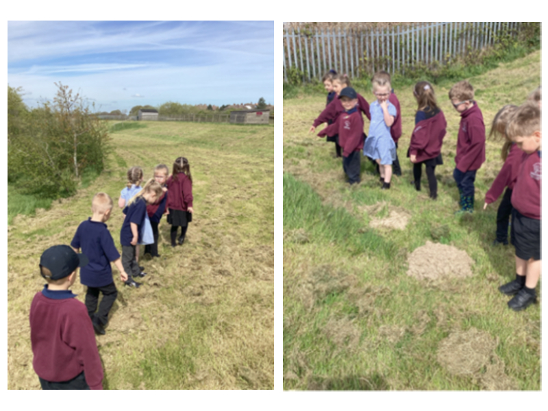 Animal safari: children in the outdoors.