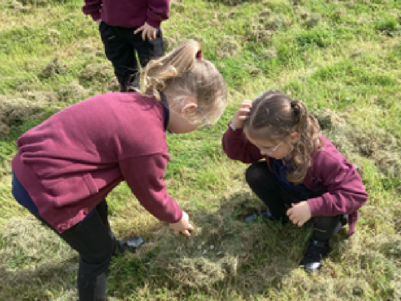 Children doing field work.