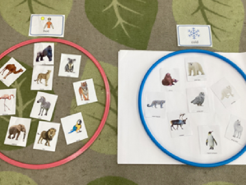 Comparing habitats.