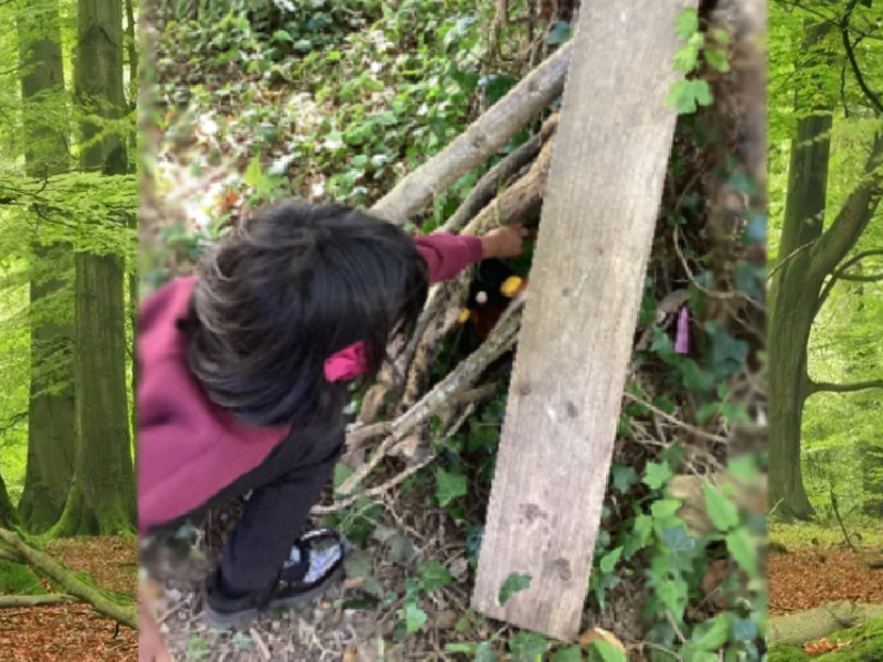 Creating a woodland habitat